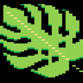 Philo leaf